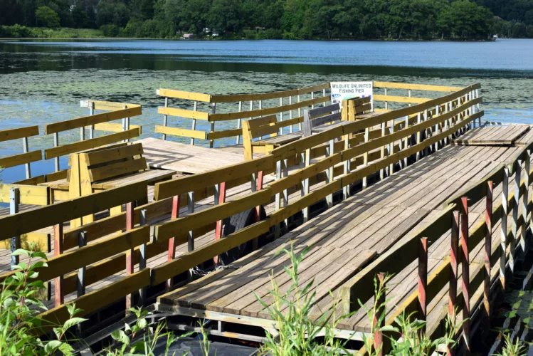 Wildlife group works to restore Lake Antoine pier